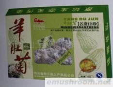 大量供应Manbetx体育手机版推荐A9版本