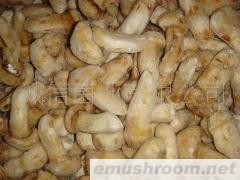 野生松茸 野生菌 牛肝菌 冻品