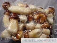 野生菌 ManBetX体育 牛肝菌 姬松茸  冻品 批发