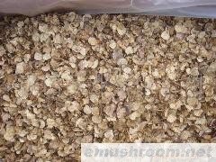 供应批发 野生菌 块菌干片 松露干片 牛肝菌等