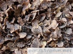 批发 野生食品 野生牛肝菌 云南特产