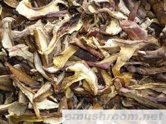 黄牛肝、黑牛肝、紫牛肝、美味牛肝、红葱菌、干鸡油菌