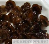 供应优质吉林长白山干木耳