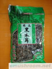黑木耳