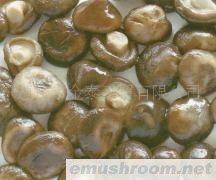 产地直接供应保鲜香菇