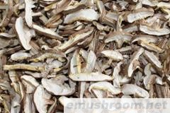 常年大量供应、香菇、香菇条