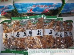 东北野生黄蘑