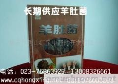 供应重庆武陵山区Manbetx体育手机版V17版本发布.官网安卓网.香港