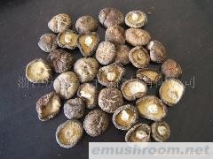 供应光面菇(香菇)