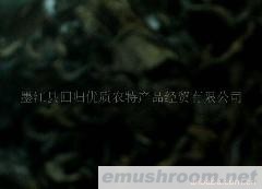 供应野生黑木耳