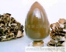 供应灰树花粉，灰树花多糖，香菇多糖，猴头菇多糖