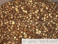 供应切足茶花菇，AA级、香菇，mushroom