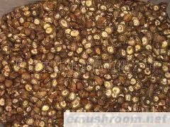 供应光面菇,香菇，mushroom