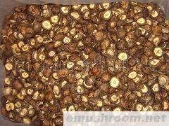 供应切足光面菇,3-4cm,香菇,mushroom