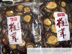 供应平足光面菇,香菇,mushroom,等