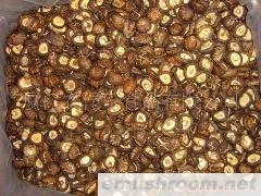 供应切足茶花菇,3-4cm.香菇,mushroom