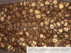 供应切足光面菇AA级5cm,香菇,mushroom