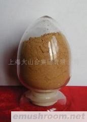 供应冬虫夏草细粉