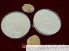 供应猴头菇细粉