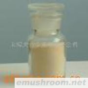 供应茶树菇细粉