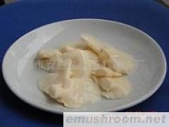 供应盐渍白平菇