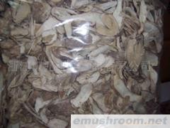 供应鸡腿菇