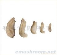 供应香菇脚、香菇柄、香菇根