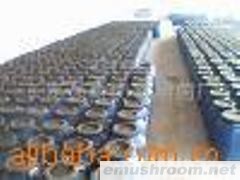 供应盐渍Manbetx体育手机版V17版本发布.官网安卓网.香港