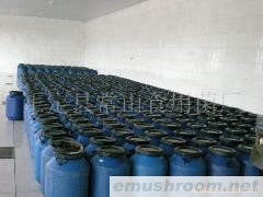 供应盐渍出口级姬菇