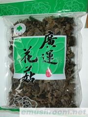 供应黑木耳