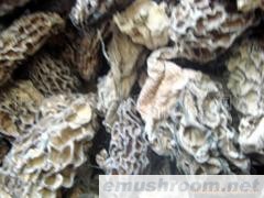 供应野生ManBetX体育