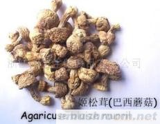 供应姬松茸干品、巴西蘑菇