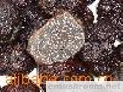 产地批发-优质块菌