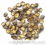 供应光面菇，茶花菇，白花菇