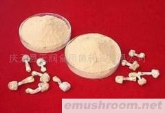 供应姬松茸多糖，姬松茸提取物，姬松茸超细粉