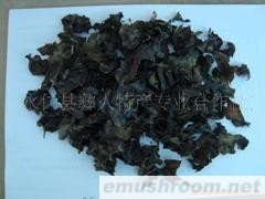 产地批发-最好的野生黑木耳