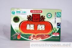 供应压缩榛蘑hazel mushroom