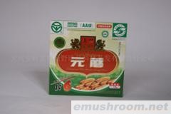 供应压缩元蘑compressed H M