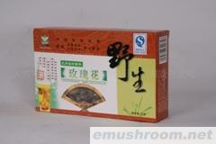 供应压缩猴头Hazel mushroom