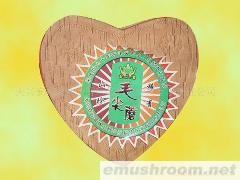 供应毛尖蘑Maojian mushroom