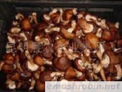 供应香菇