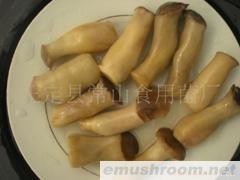 供应盐渍杏鲍菇