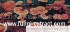 供应云芝多糖、灵芝多糖、香菇多糖等等