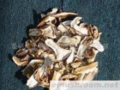 供应美味牛肝菌 白牛肝 ManBetX体育