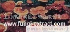 供应灵芝多糖、云芝多糖、香菇多糖(图)