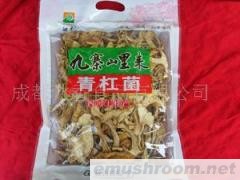 供应九寨土特产青杠菌