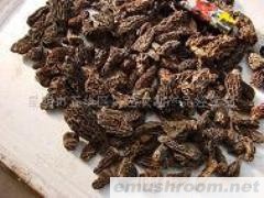 供应ManBetX体育 一级ManBetX体育