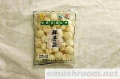 供应软包装双孢蘑菇