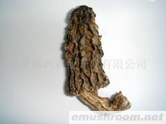 供应ManBetX体育(图)