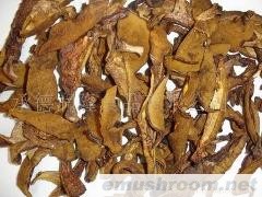 供应AD松菇干片